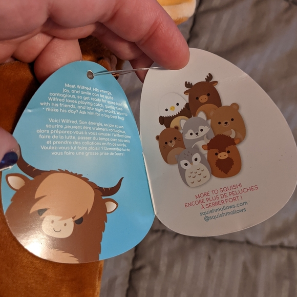 Highland cow squishmallow Wilfred - Picture 4 of 5